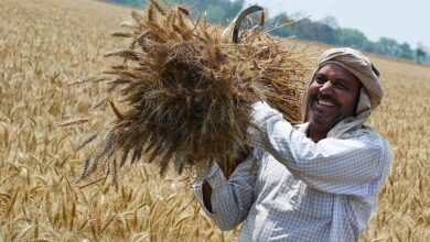 Photo of बिचौलिया राज समाप्त