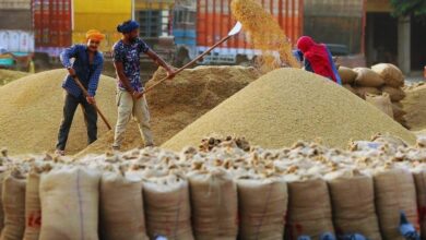 Photo of 51 हजार से अधिक किसानों से किया गया धान क्रय