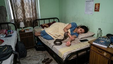 Photo of अयोध्या मेडिकल कॉलेज के गर्ल्स हॉस्टल में हड़कंप: बेड पर सो रही MBBS छात्रा को सांप ने डसा, सुरक्षा व्यवस्था पर उठे गंभीर सवाल