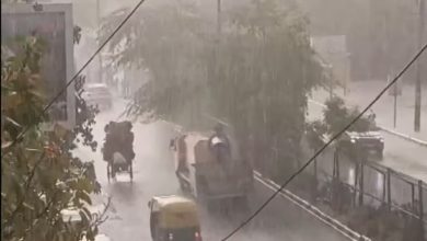 Photo of दिल्ली-NCR में मानसून की धमाकेदार एंट्री! देर रात से तेज हवाओं के साथ झमाझम हो रही बारिश, मौसम विभाग का ‘येलो अलर्ट’ जारी