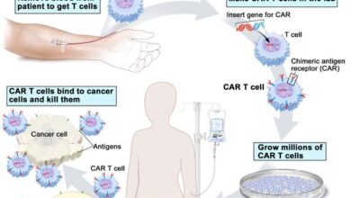 Photo of चिकित्सा विज्ञान की ऐतिहासिक छलांग: कॉर्ड ट्रांसप्लांट और ‘CAR T-Cell थेरेपी’ से कैंसर व थैलेसीमिया के खिलाफ मिली अभूतपूर्व सफलता