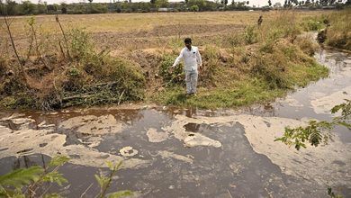 Photo of आंध्र प्रदेश में प्रदूषण की शिकायत करने वाले किसान पर इथेनॉल निर्माता कंपनी का एक करोड़ रुपये का मानहानि का मुकदमा
