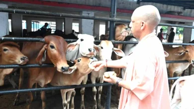 Photo of गोशालाओं को अब संरक्षण के साथ बनाया जाएगा आत्मनिर्भरता का मॉडल