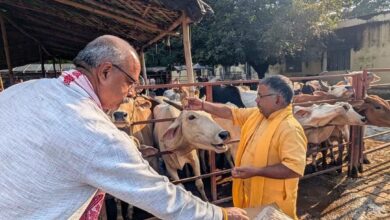Photo of गोशालाओं में हो सकेंगे मांगलिक कार्यक्रम, गो-पर्यटन से गांवों को मिलेगा कमाई का नया रास्ता