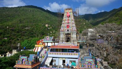 Photo of कोयंबटूर: मरुधमलाई मंदिर में 184 फुट ऊंची मुरुगन प्रतिमा का प्रस्ताव, पर्यावरणीय चिंताओं के बीच अनुकूल स्थल की तलाश जारी
