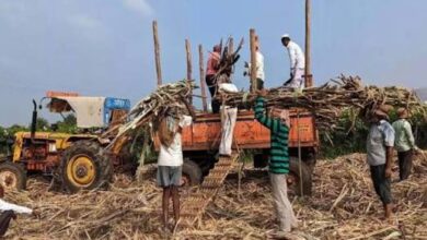 Photo of गन्ना किसानों को 102 चीनी मिलों ने किया शत-प्रतिशत भुगतान