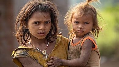 Photo of ‘जैसे मेरी बेटी सड़क पर गिड़गिड़ाई थी, दरिंदों में भी वही खौफ भर दीजिए’! जमुई कांड की पीड़िता की मां का मुख्यमंत्री के सामने छलका दर्द, कांप उठी रूह