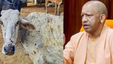 Photo of योगी सरकार ने लंपी वायरस की रोकथाम के लिए 25 जनपदों में 606 टीमें कीं तैनात