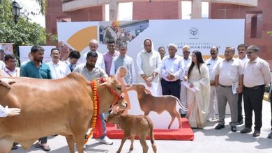 Photo of डेयरी क्षेत्र में 22 कंपनियां करेंगी 695.18 करोड़ का निवेश