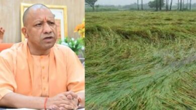 Photo of फसलों के नुकसान की होगी भरपाई, सोमवार को गोरखपुर से किसानों के खातों में धनराशि भेजेंगे मुख्यमंत्री योगी आदित्यनाथ