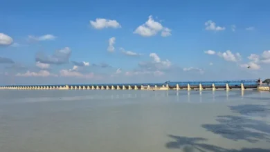 Photo of योगी सरकार ने बदली यूपी की जर्जर जल संरचनाओं की तस्वीर