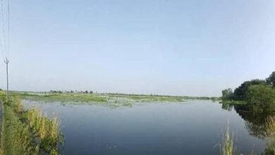 Photo of उत्तर प्रदेश की सौज झील बनी रामसर साइट्स