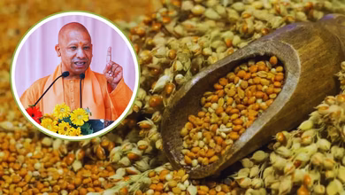 Photo of 31 दिसंबर तक होगी मक्का, बाजरा व ज्वार की खरीद